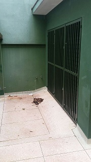 Sobrado, 300 m² - Foto 2